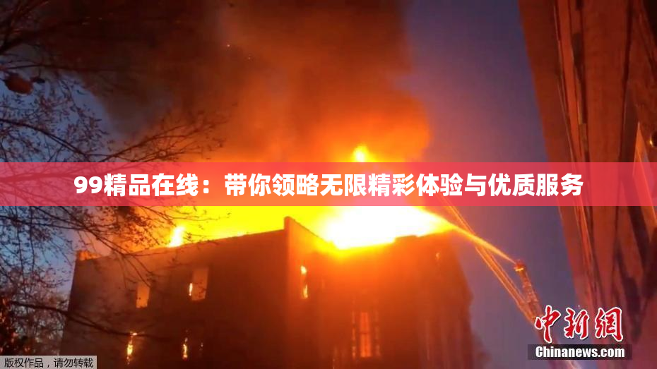 99精品在线：带你领略无限精彩体验与优质服务