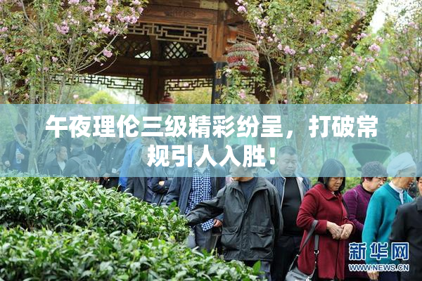 午夜理伦三级精彩纷呈，打破常规引人入胜！