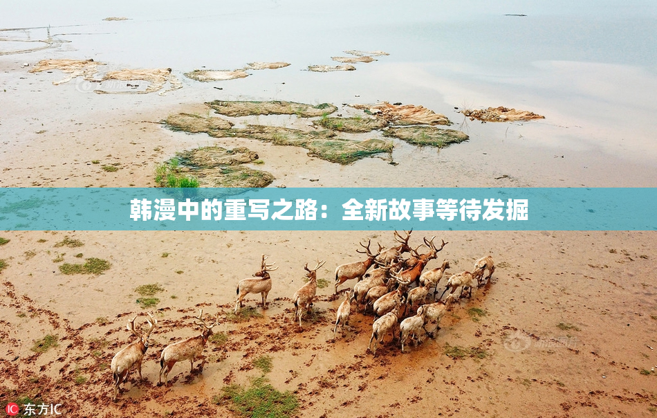 韩漫中的重写之路：全新故事等待发掘