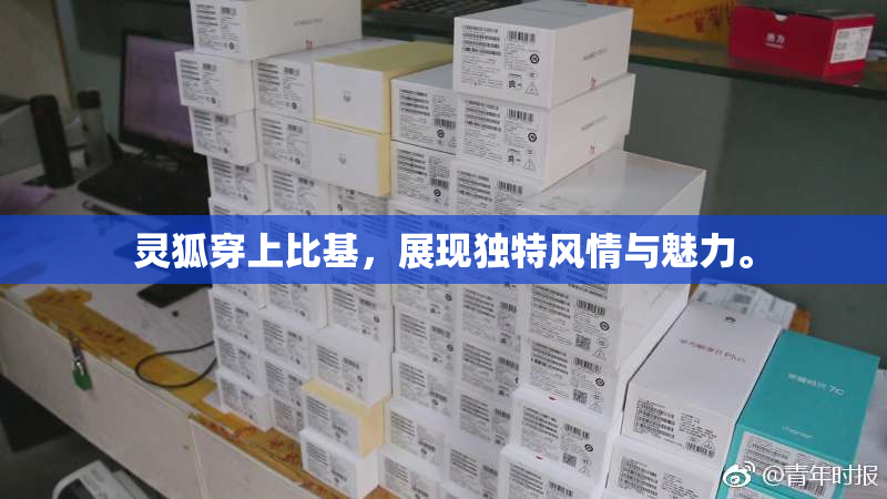 灵狐穿上比基，展现独特风情与魅力。