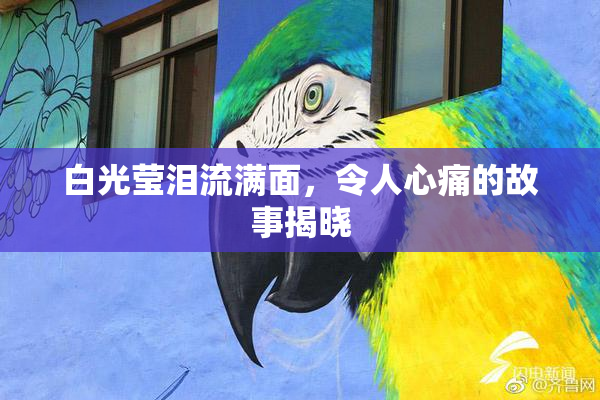 白光莹泪流满面，令人心痛的故事揭晓
