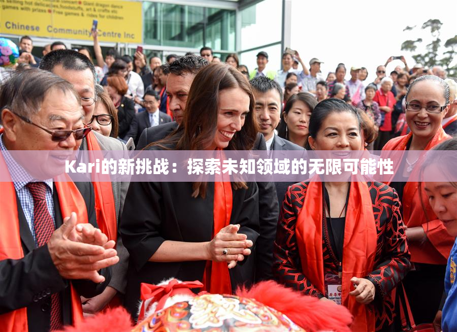 Kari的新挑战：探索未知领域的无限可能性