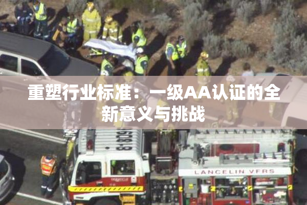 重塑行业标准：一级AA认证的全新意义与挑战