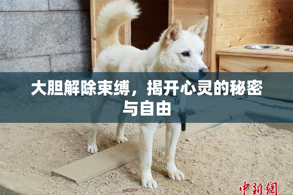 大胆解除束缚，揭开心灵的秘密与自由