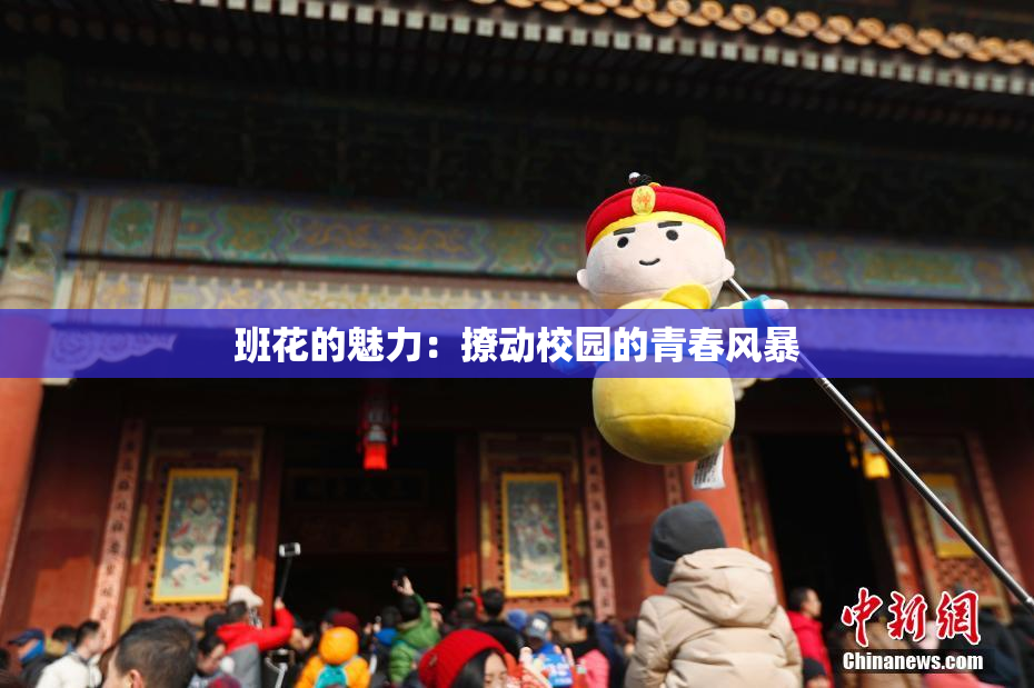 班花的魅力：撩动校园的青春风暴