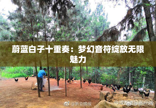 蔚蓝白子十重奏：梦幻音符绽放无限魅力