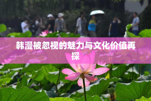 韩漫被忽视的魅力与文化价值再探