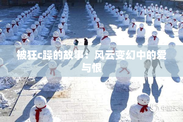 被狂c躁的故事：风云变幻中的爱与恨