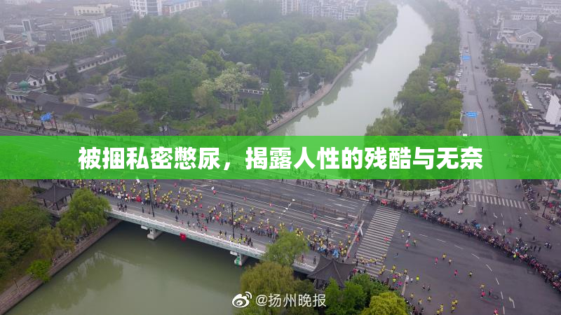 被捆私密憋尿，揭露人性的残酷与无奈