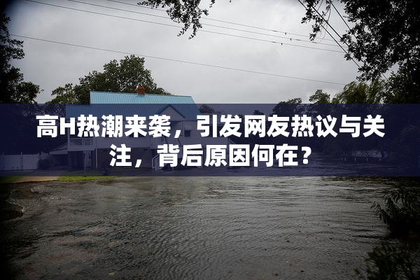 高H热潮来袭，引发网友热议与关注，背后原因何在？