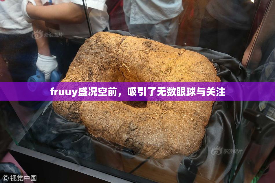 fruuy盛况空前，吸引了无数眼球与关注