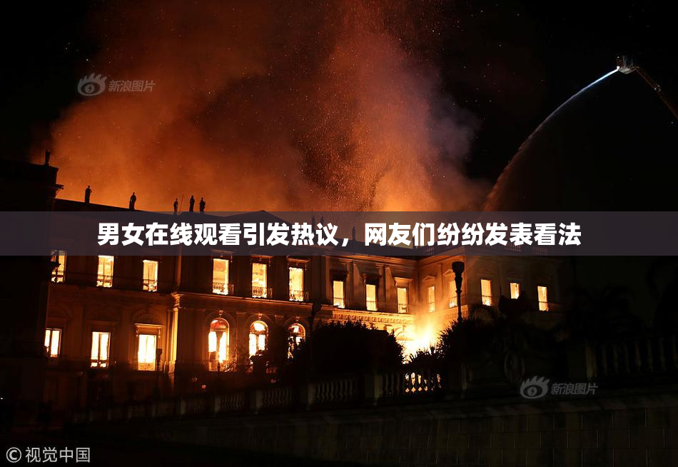 男女在线观看引发热议，网友们纷纷发表看法