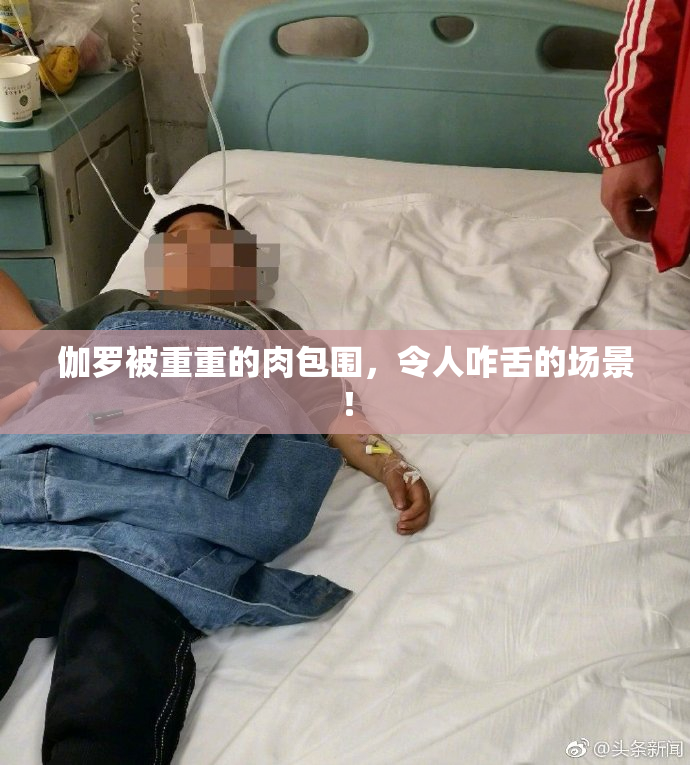 伽罗被重重的肉包围，令人咋舌的场景！