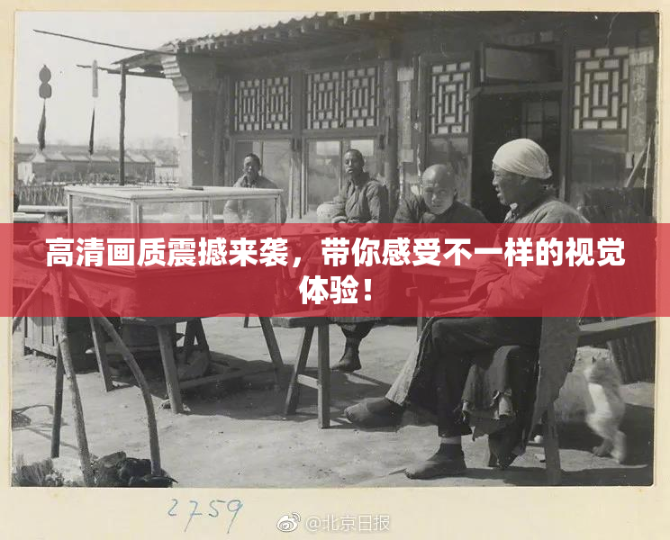 高清画质震撼来袭，带你感受不一样的视觉体验！