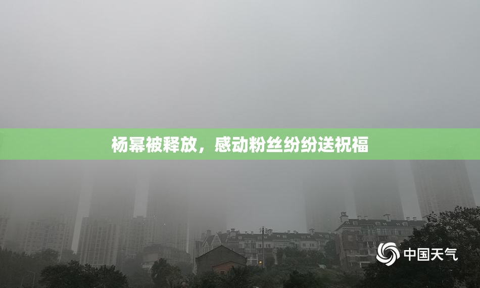 杨幂被释放，感动粉丝纷纷送祝福