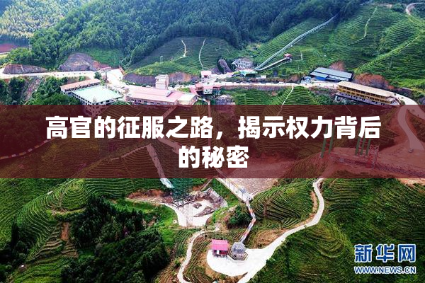 高官的征服之路，揭示权力背后的秘密