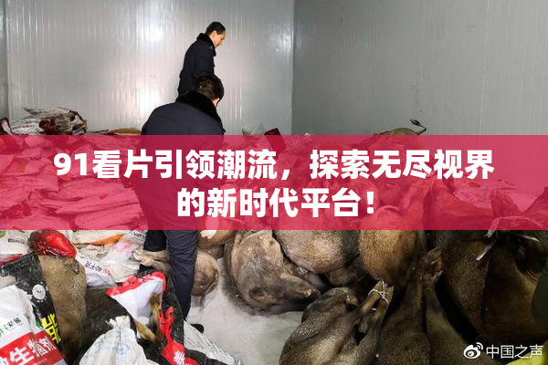 91看片引领潮流，探索无尽视界的新时代平台！