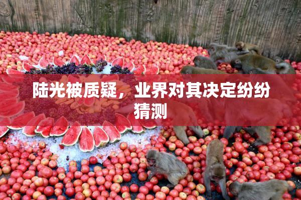 陆光被质疑，业界对其决定纷纷猜测