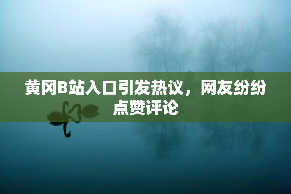 黄冈B站入口引发热议，网友纷纷点赞评论