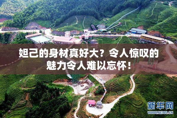妲己的身材真好大？令人惊叹的魅力令人难以忘怀！