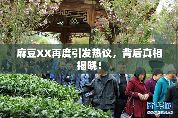 麻豆XX再度引发热议，背后真相揭晓！
