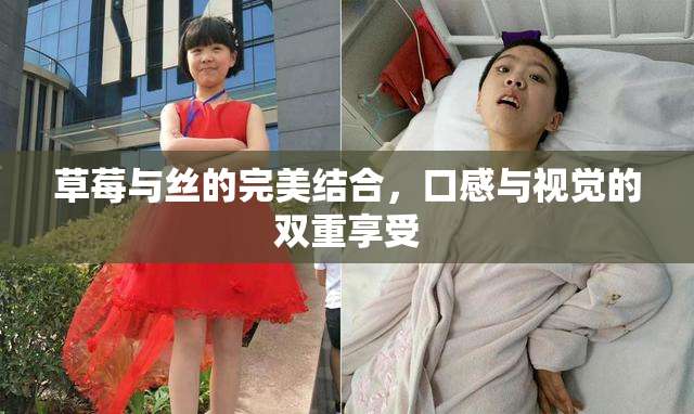 草莓与丝的完美结合，口感与视觉的双重享受