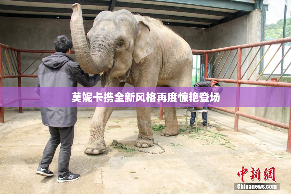 莫妮卡携全新风格再度惊艳登场