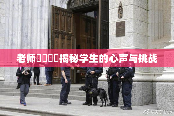 老师❌‌❌‌揭秘学生的心声与挑战