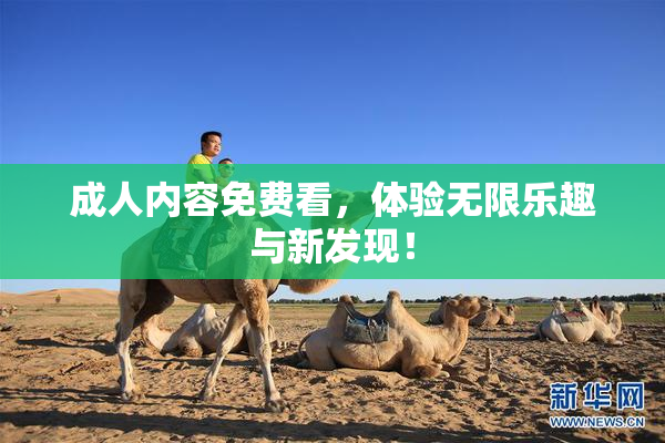 成人内容免费看，体验无限乐趣与新发现！