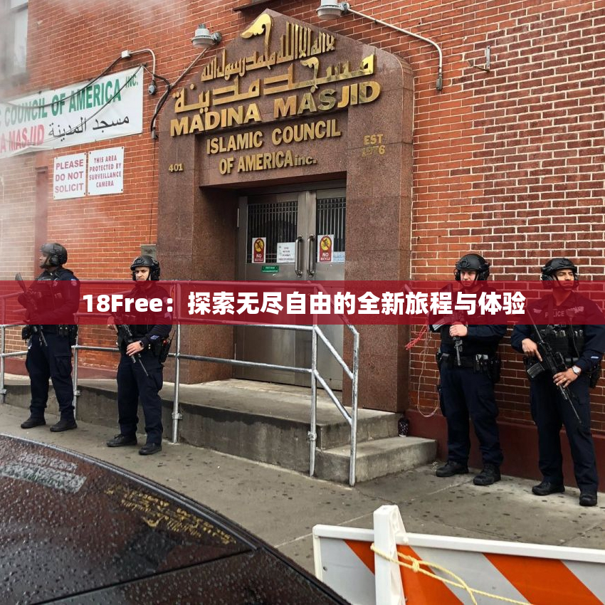 18Free：探索无尽自由的全新旅程与体验