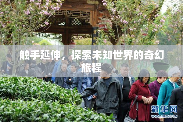 触手延伸，探索未知世界的奇幻旅程