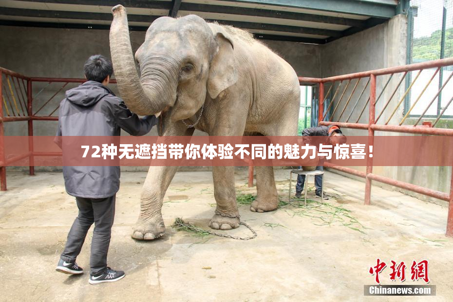 72种无遮挡带你体验不同的魅力与惊喜！