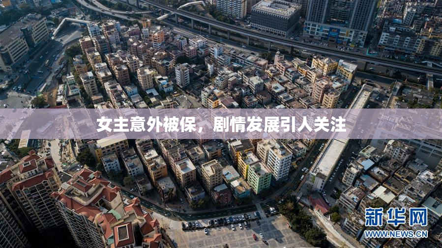 女主意外被保，剧情发展引人关注