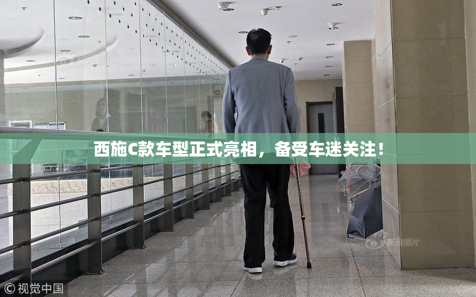 西施C款车型正式亮相，备受车迷关注！