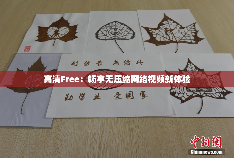 高清Free：畅享无压缩网络视频新体验