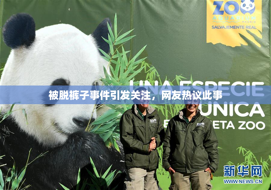 被脱裤子事件引发关注，网友热议此事