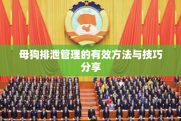 母狗排泄管理的有效方法与技巧分享
