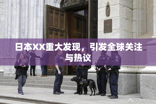 日本XX重大发现，引发全球关注与热议