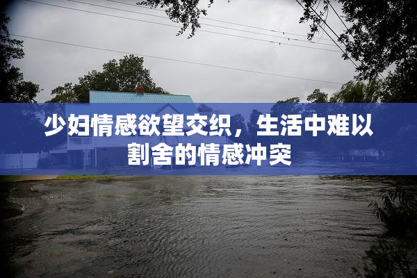 少妇情感欲望交织，生活中难以割舍的情感冲突