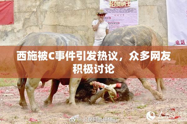 西施被C事件引发热议，众多网友积极讨论