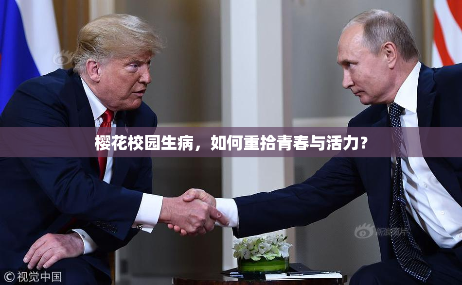 樱花校园生病，如何重拾青春与活力？